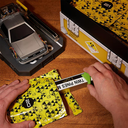 Model Kit - Back To The Future: Time Machine Model Kit [Expected Availability June 2025!]