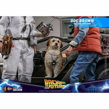 Hot Toys Back to the Future Doc Brown (Deluxe Version) 1:6 Scale Collectible Figure with bonus Plutonium case Action Figure Hot Toys